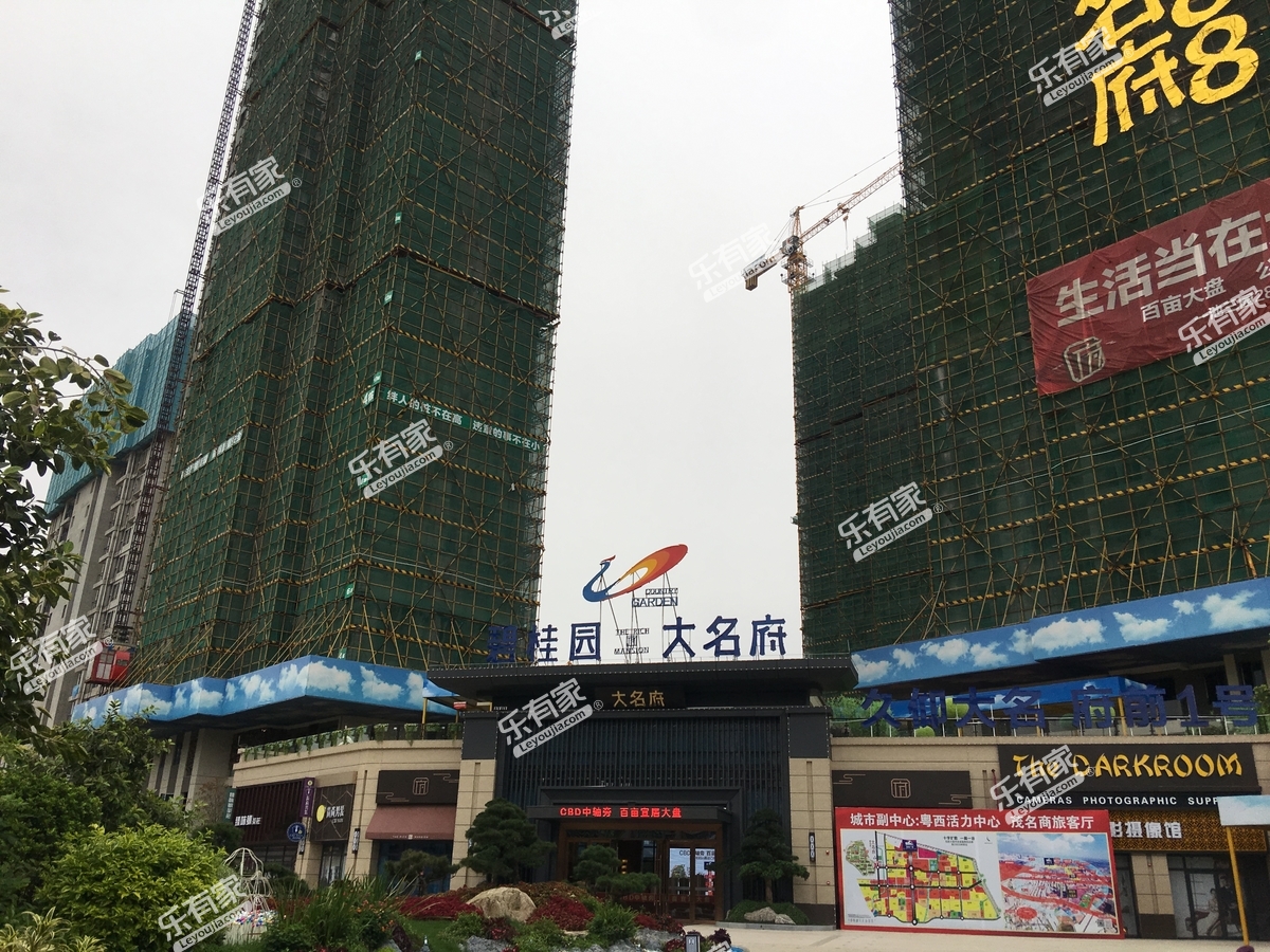 碧桂园大名府