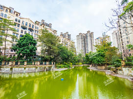 中惠香樟绿洲实景图