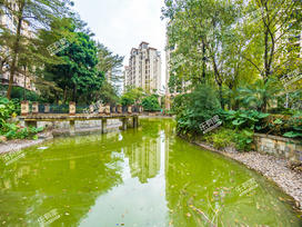 中惠香樟绿洲实景图