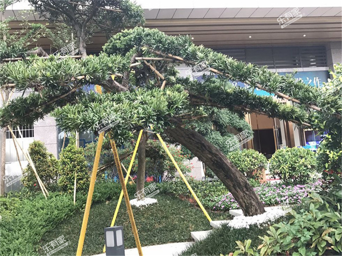 四季蓝天花园实景图