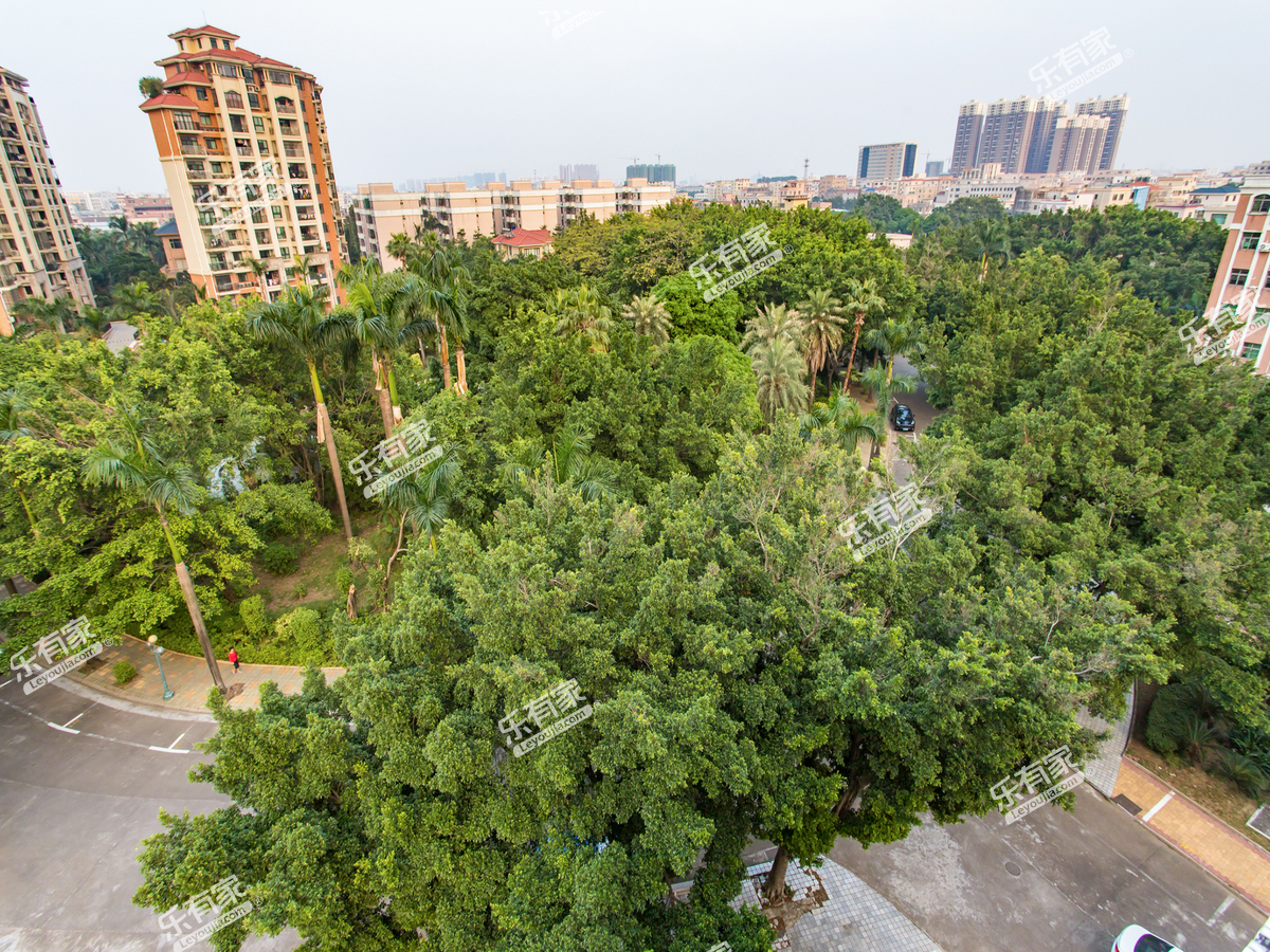 丽景花园实景图