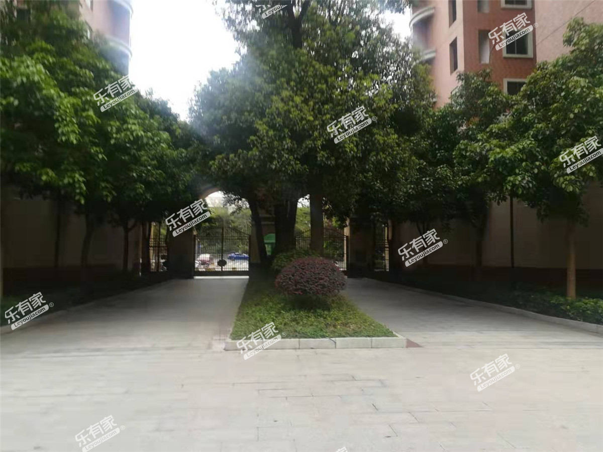 青春实景图