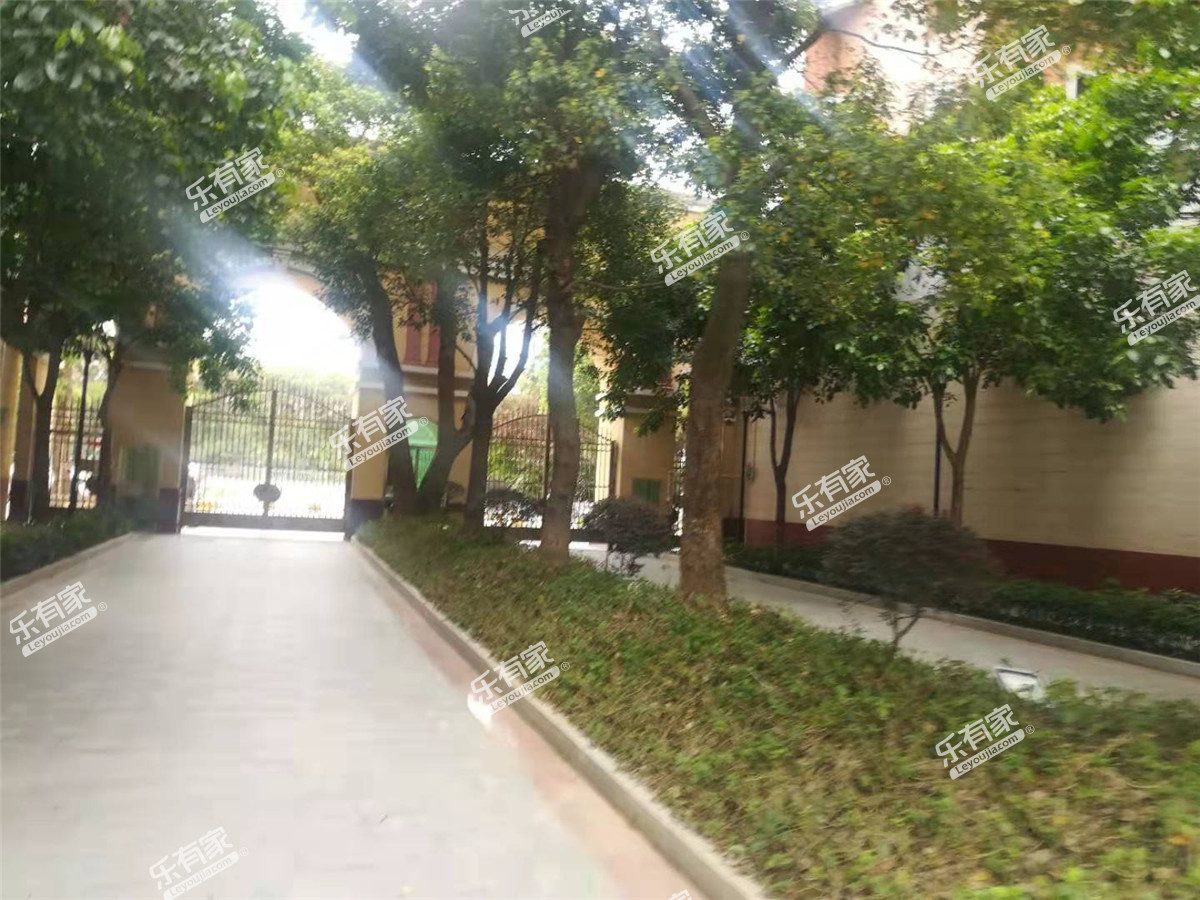 青春实景图