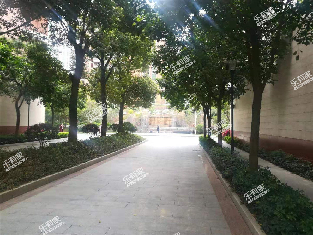 青春实景图
