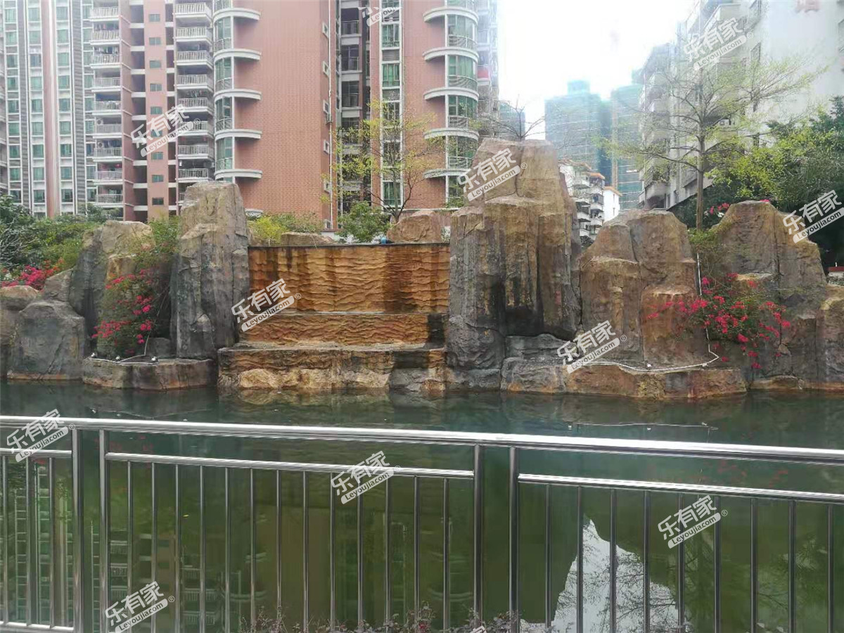 青春实景图