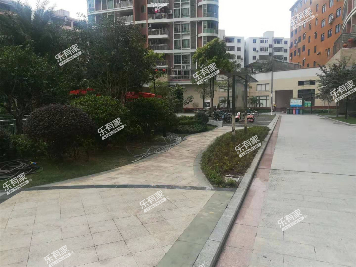 青春实景图
