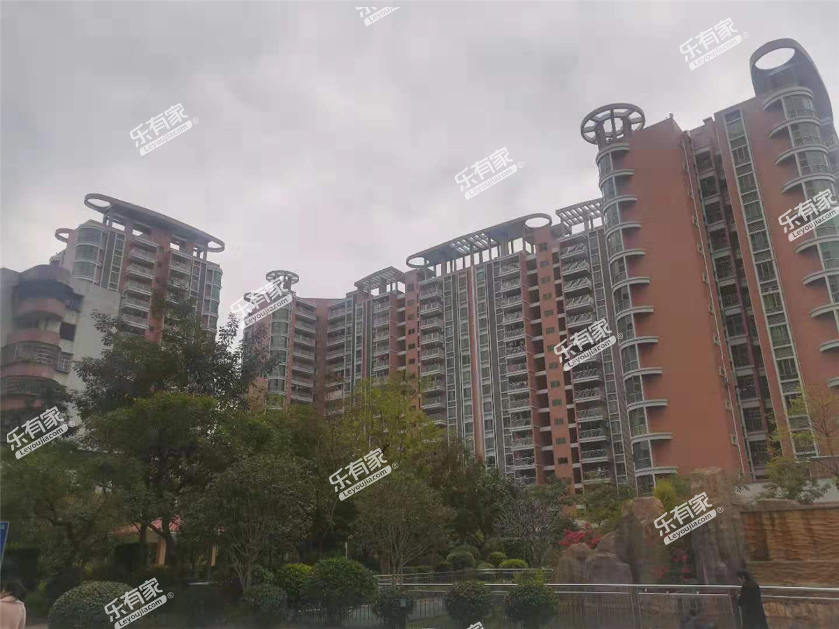 青春实景图