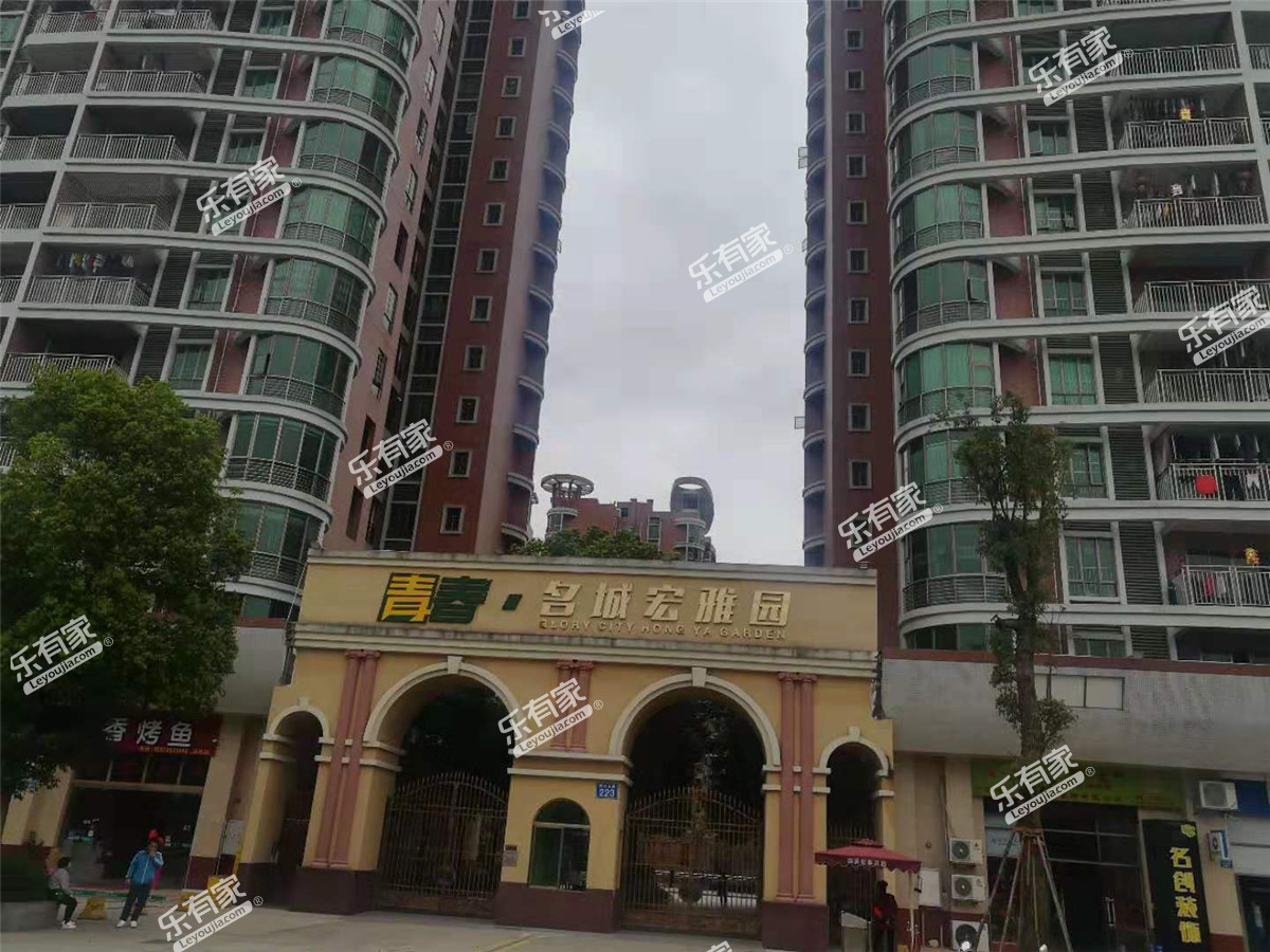 青春实景图