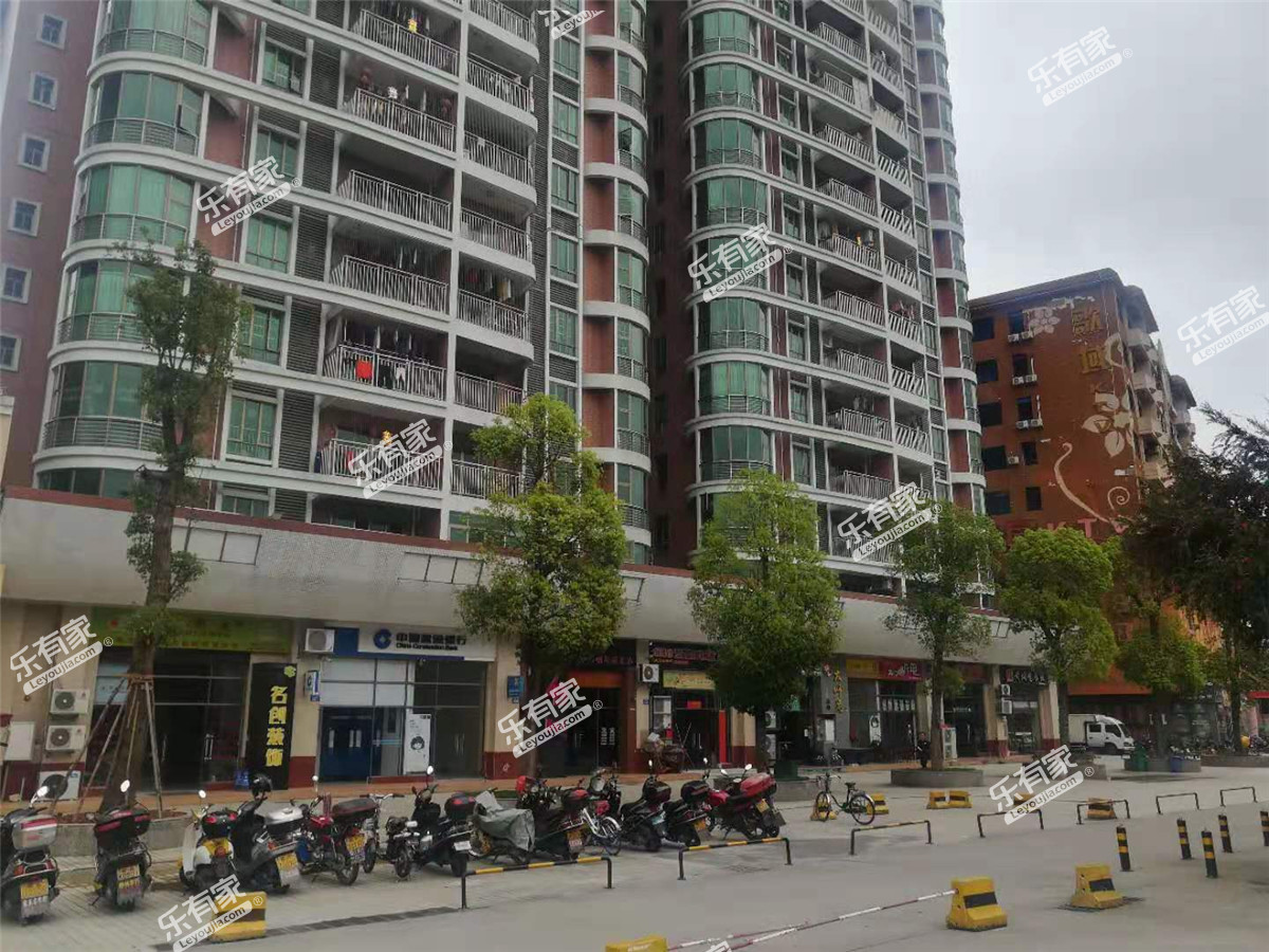 青春实景图