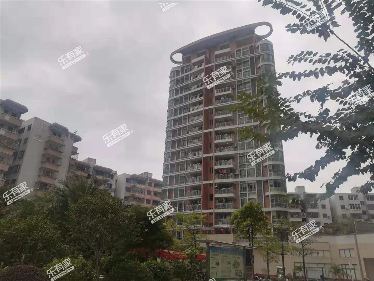 青春实景图