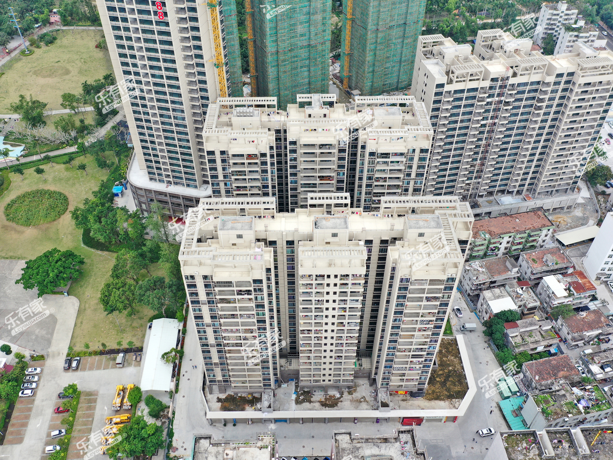 江村雅景实景图