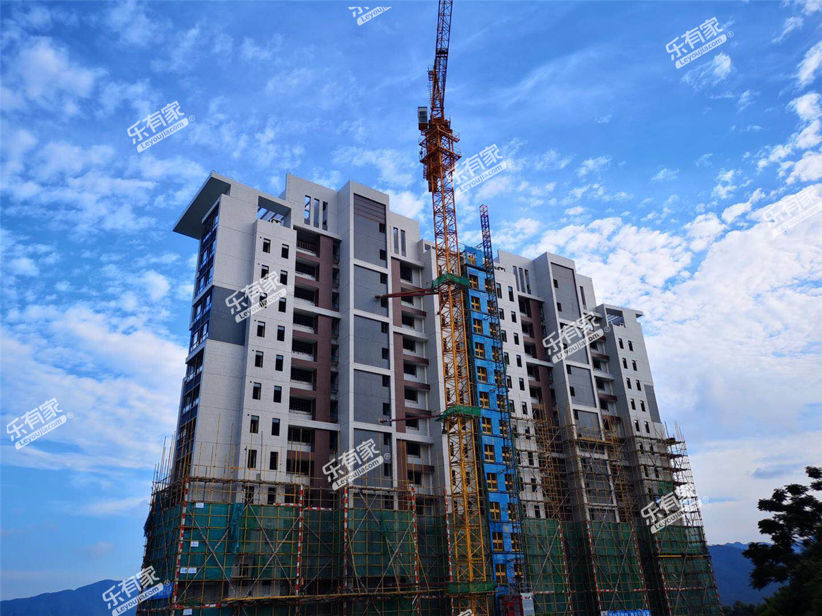 观海华府实景8