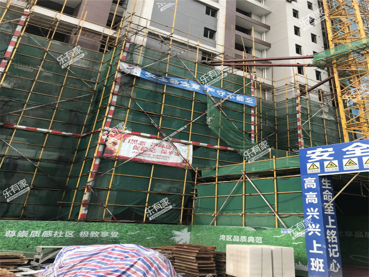 观海华府实景7