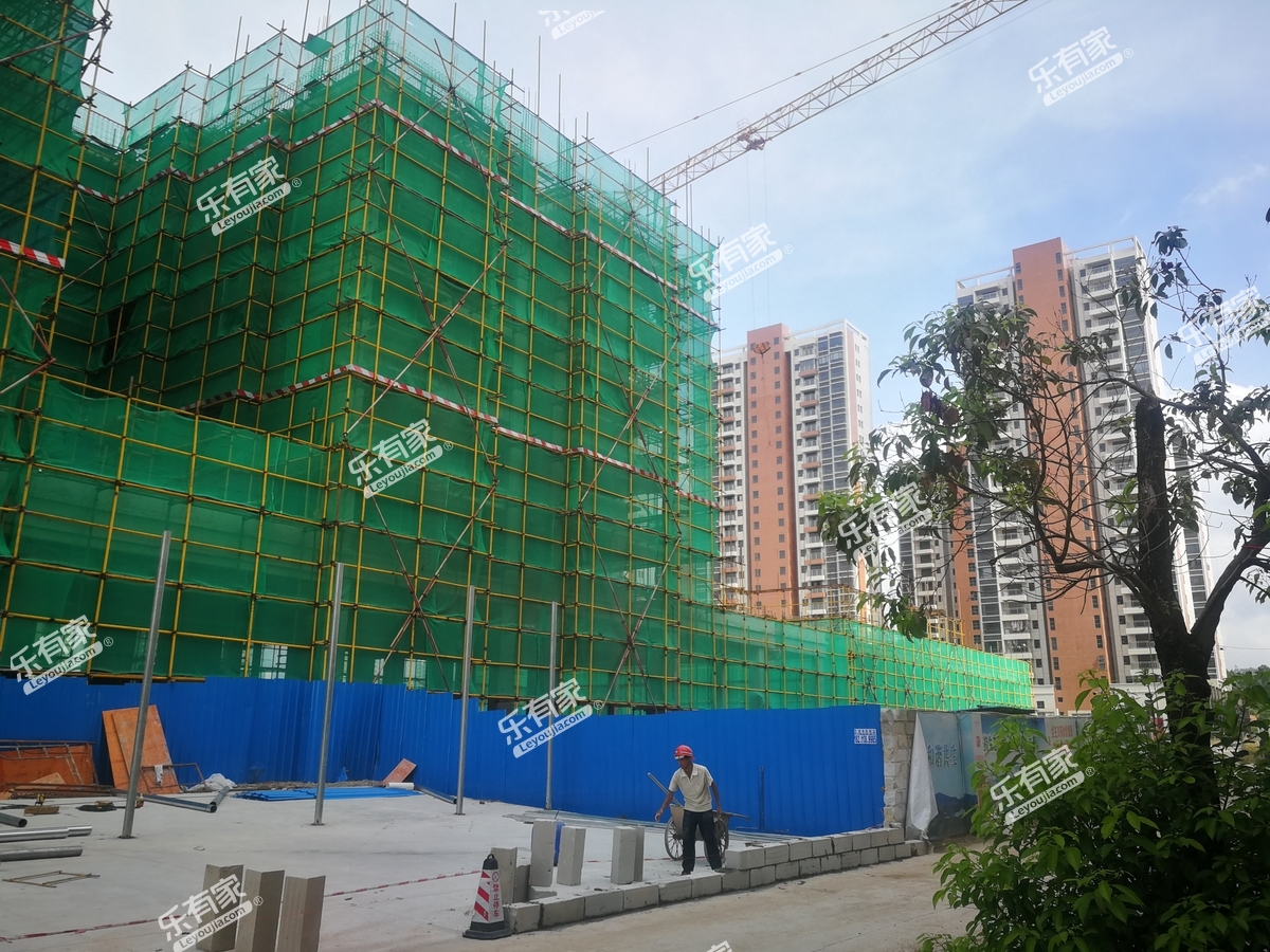 丰泽楼实景图
