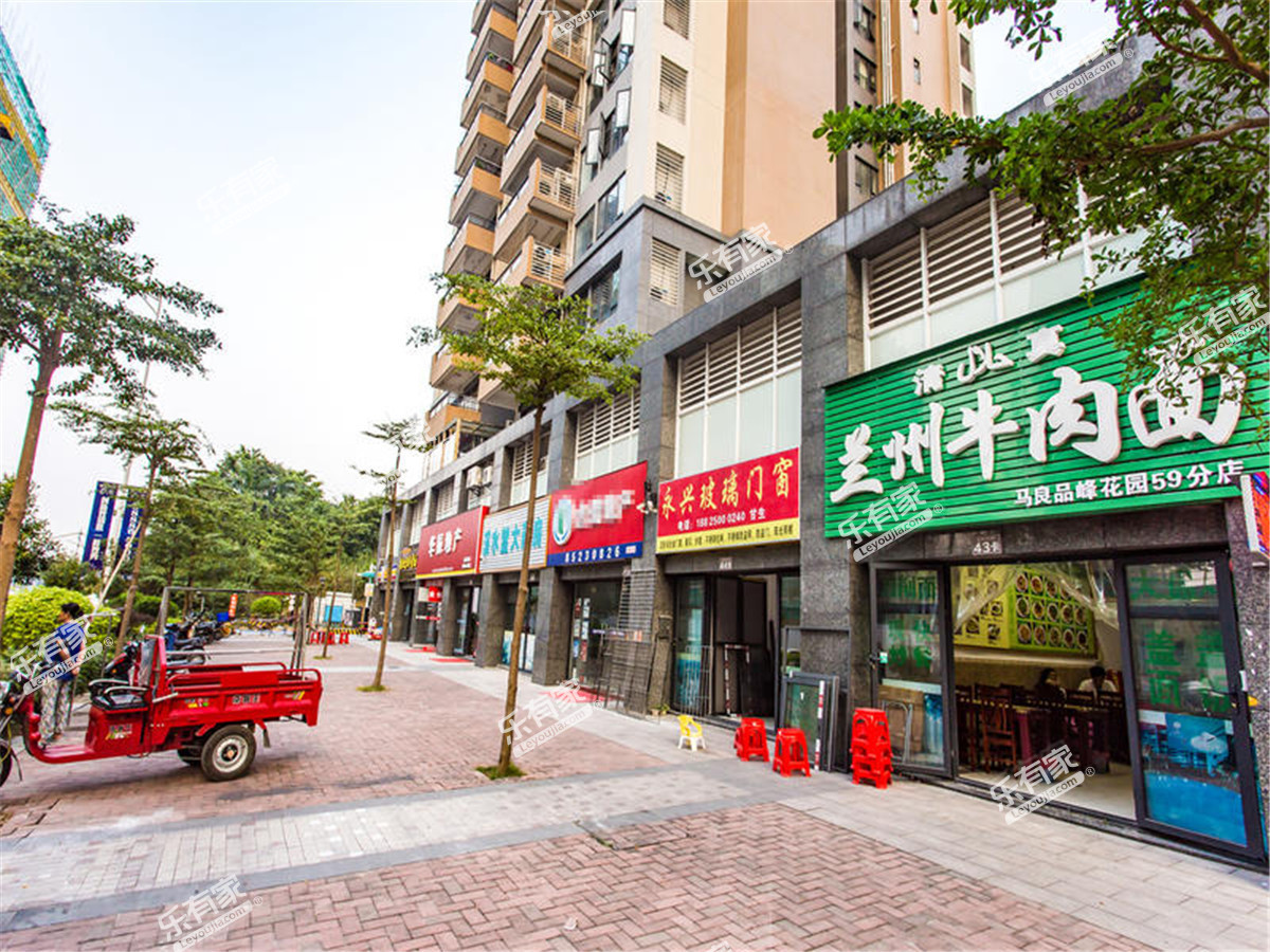 越秀星汇品峰小区商铺