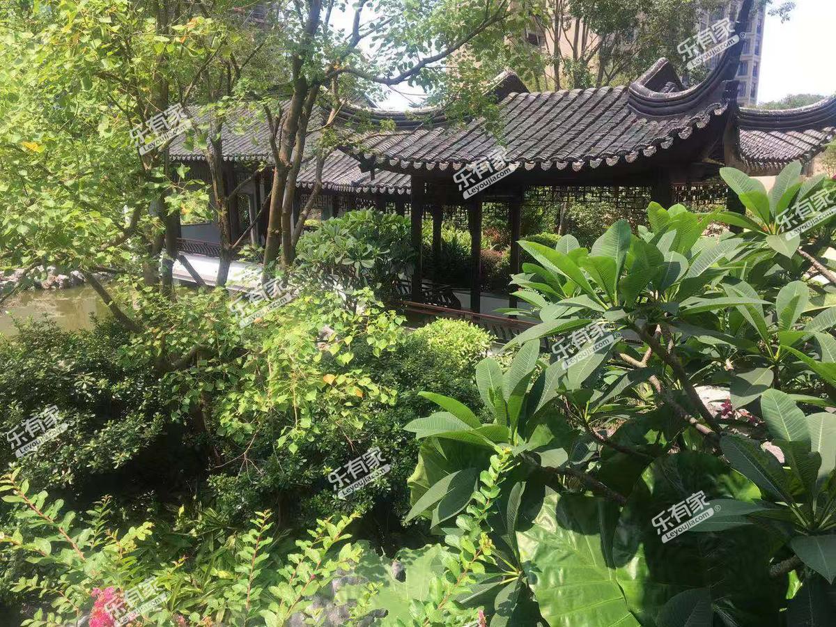莱福花园环境5
