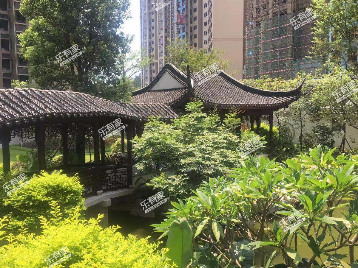 莱福花园环境4