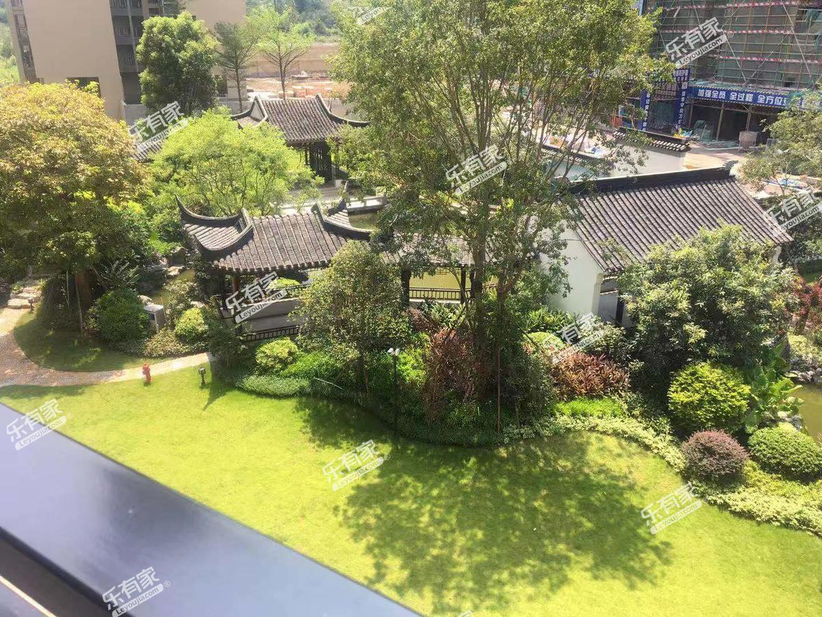 莱福花园环境3