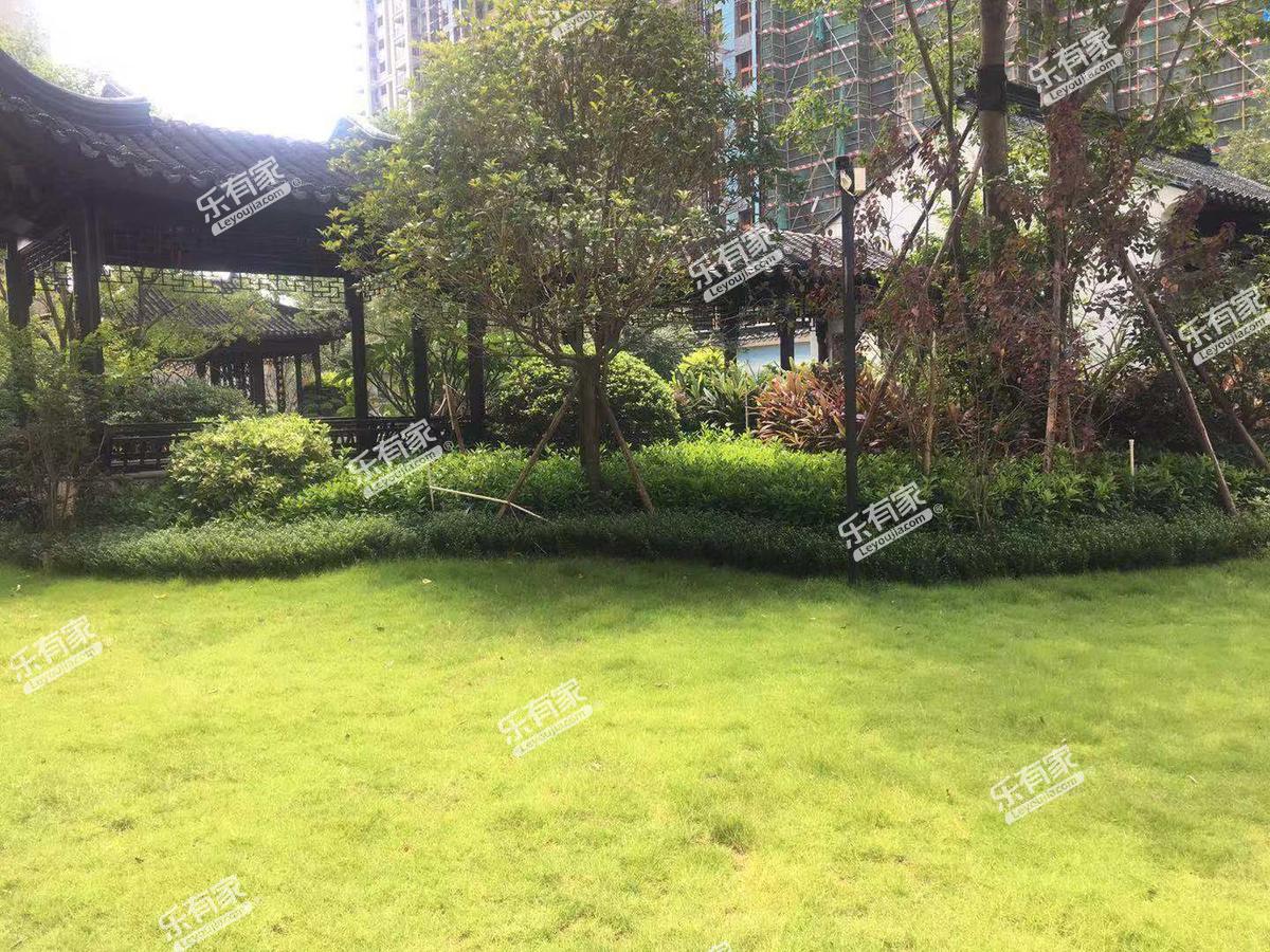 莱福花园环境2