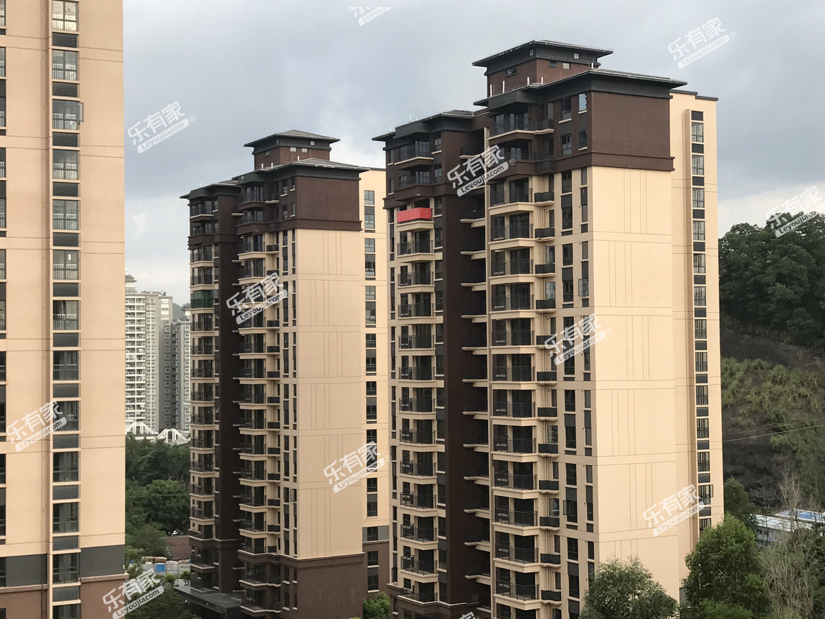 深业万林湖九期实景图