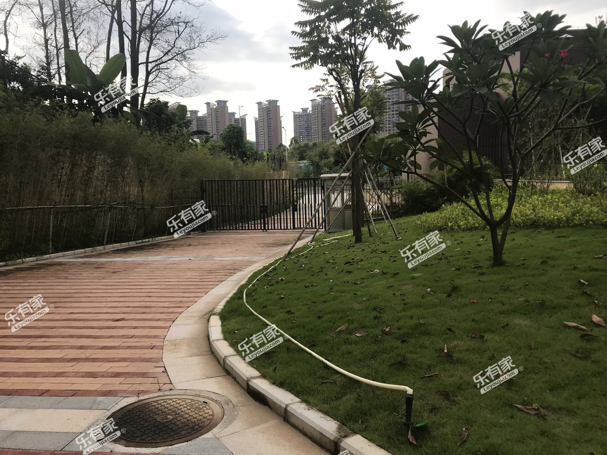 深业万林湖九期实景图