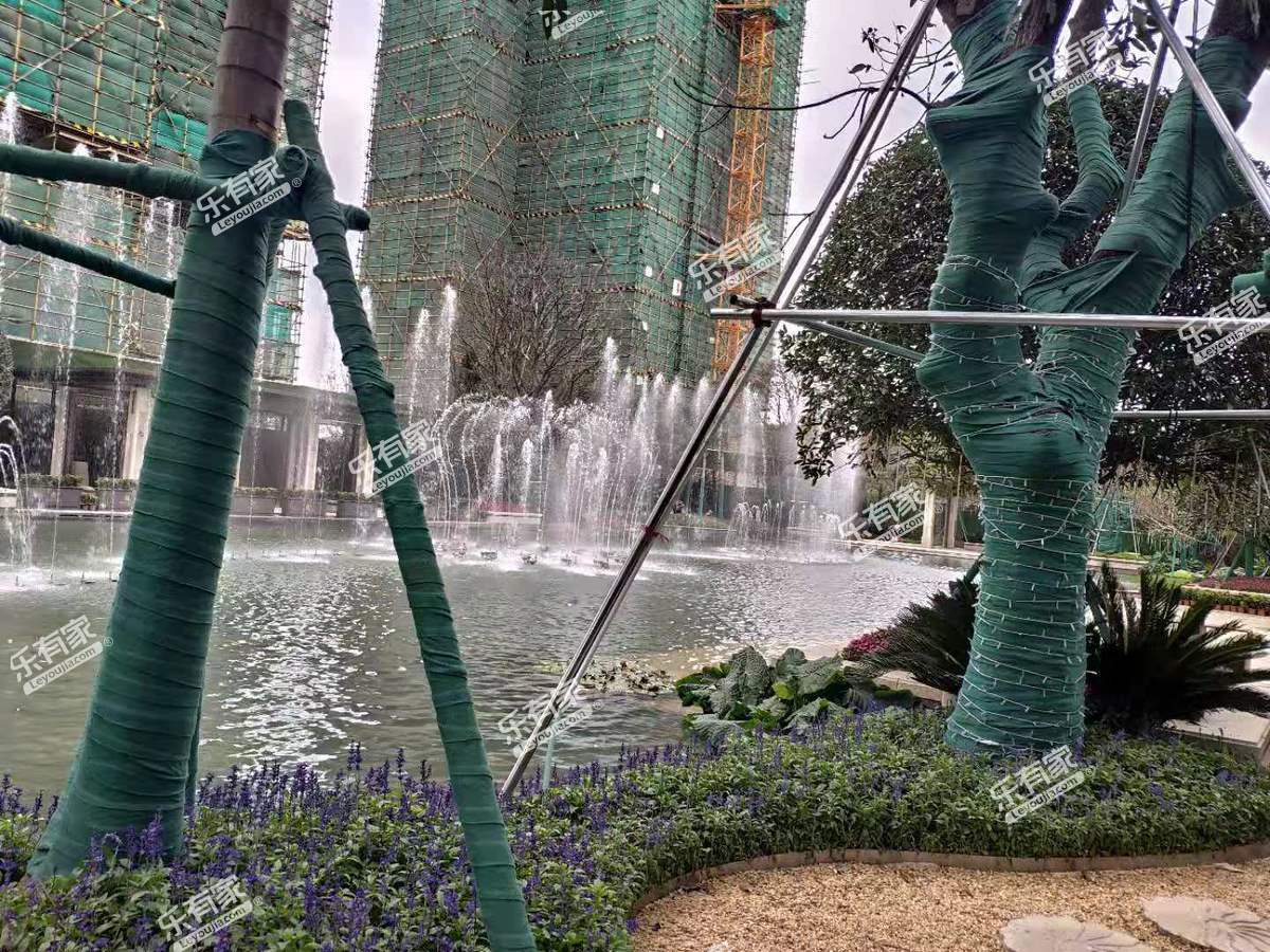 清荃湾花园实景图3