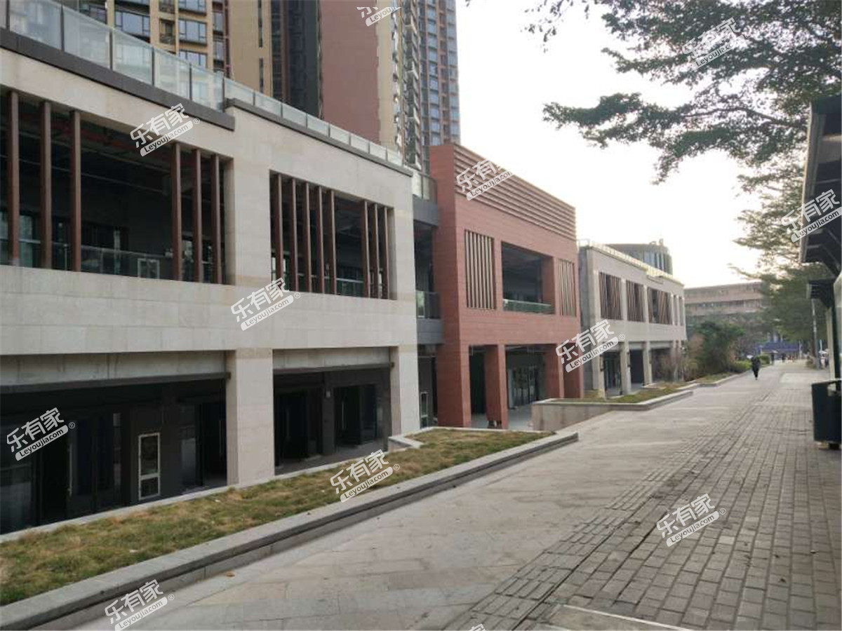 星河荣御花苑（二期）实景图