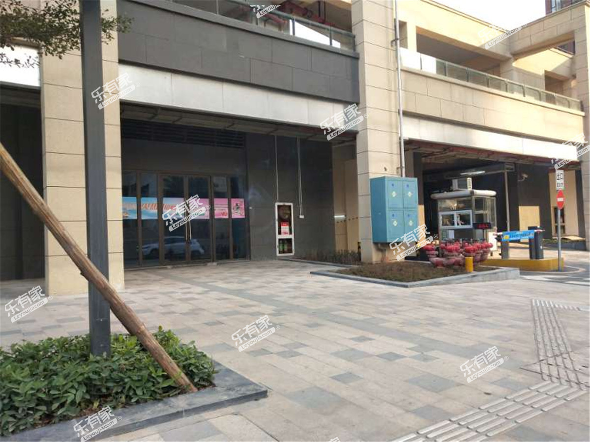 星河荣御花苑（二期）实景图