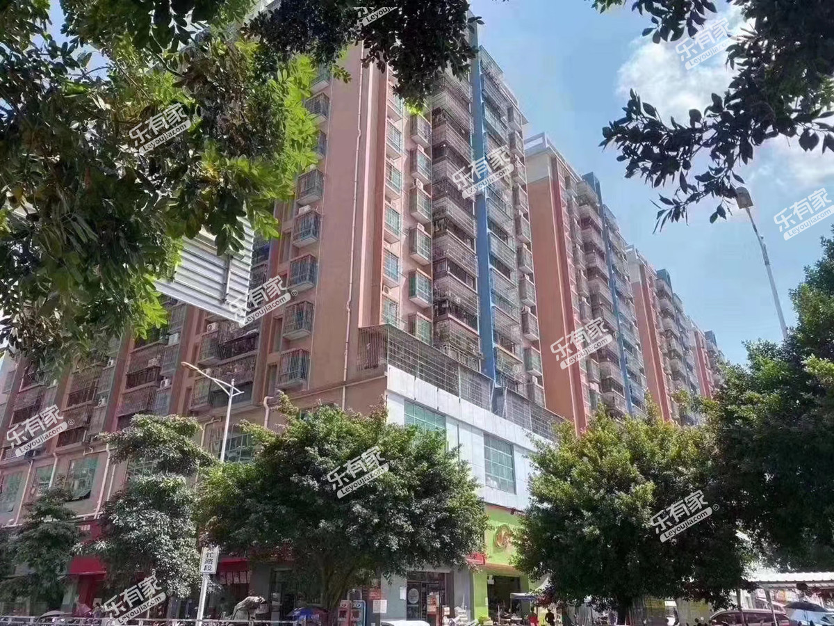 凤凰大厦（沙井）实景图