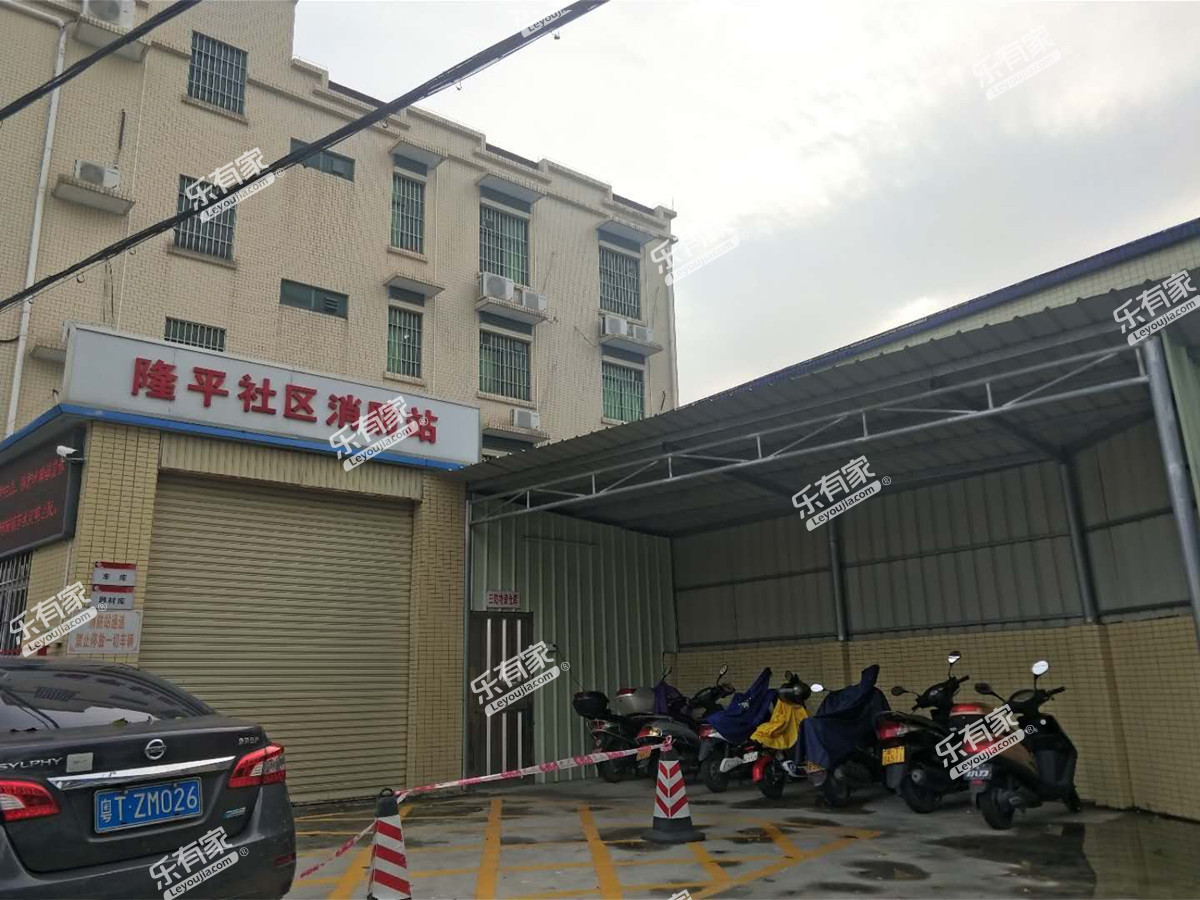 居民自建房(西区)实景图