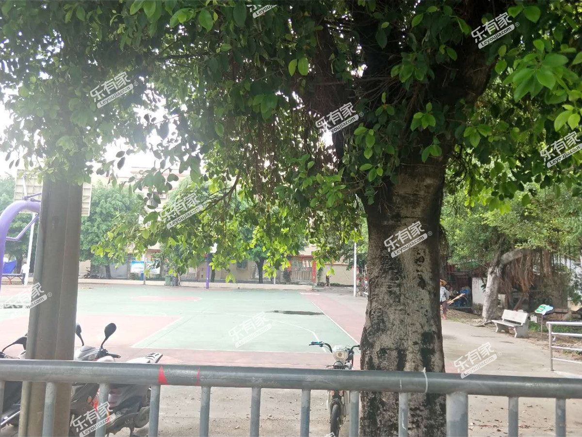 居民自建房(西区)实景图