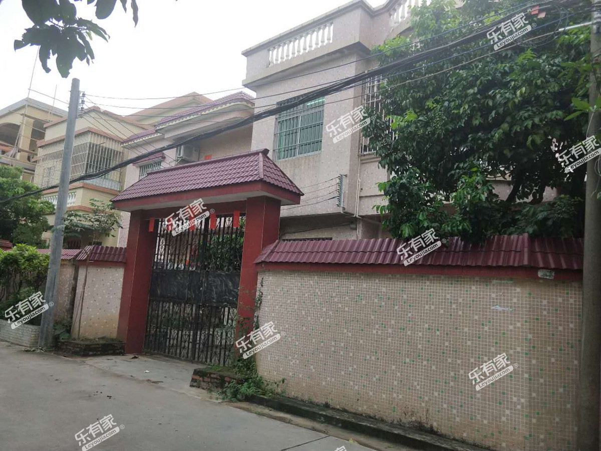 居民自建房(西区)实景图