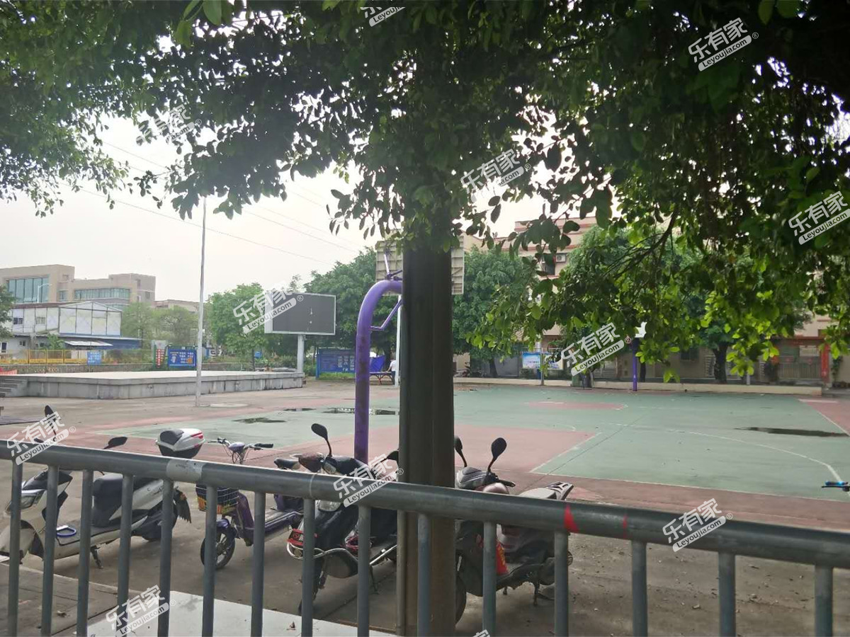 居民自建房(西区)实景图
