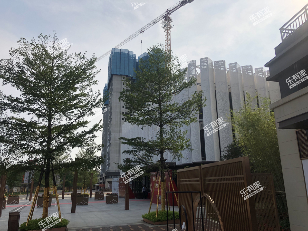 佳兆业东江熙园实景图1