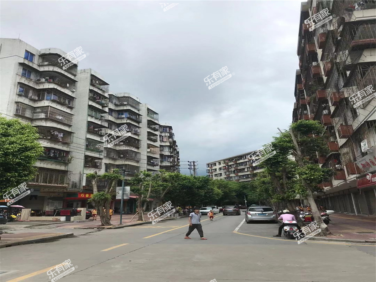 河东龙井新村实景图