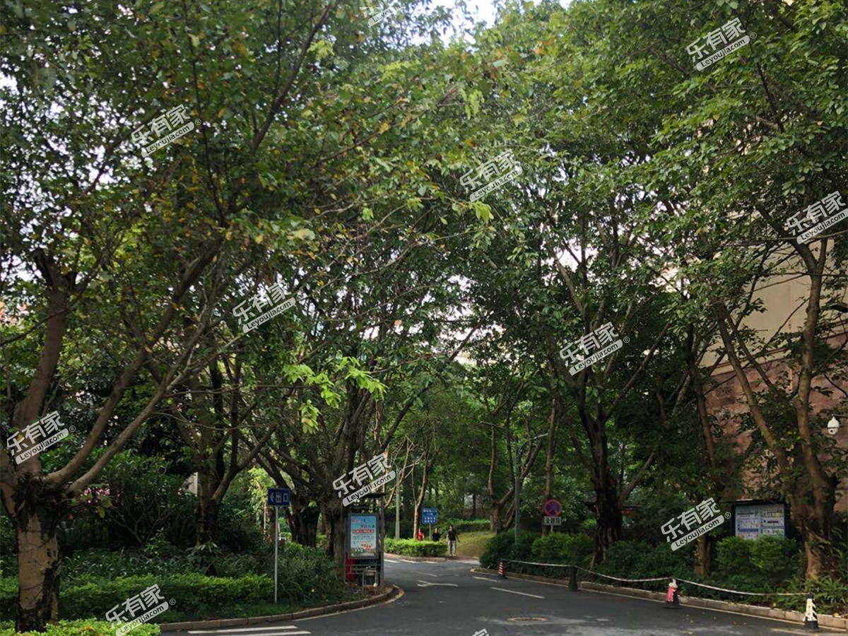 锦林山庄实景图