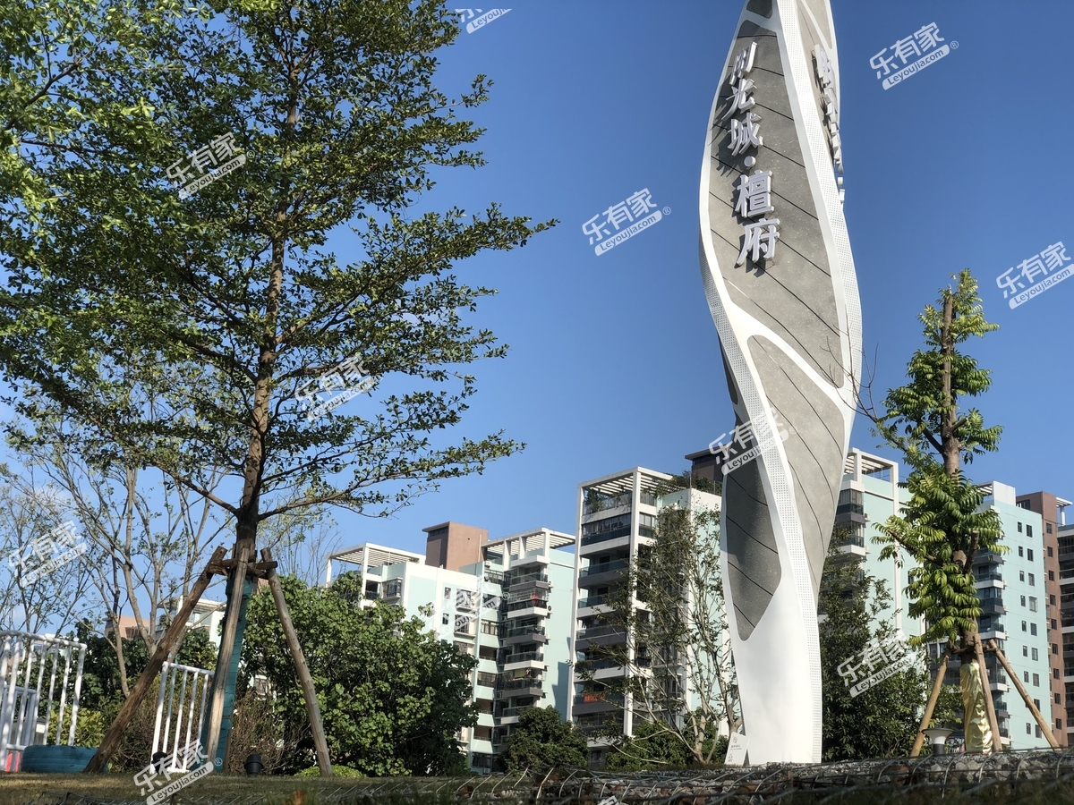 阳光城檀府实景图14