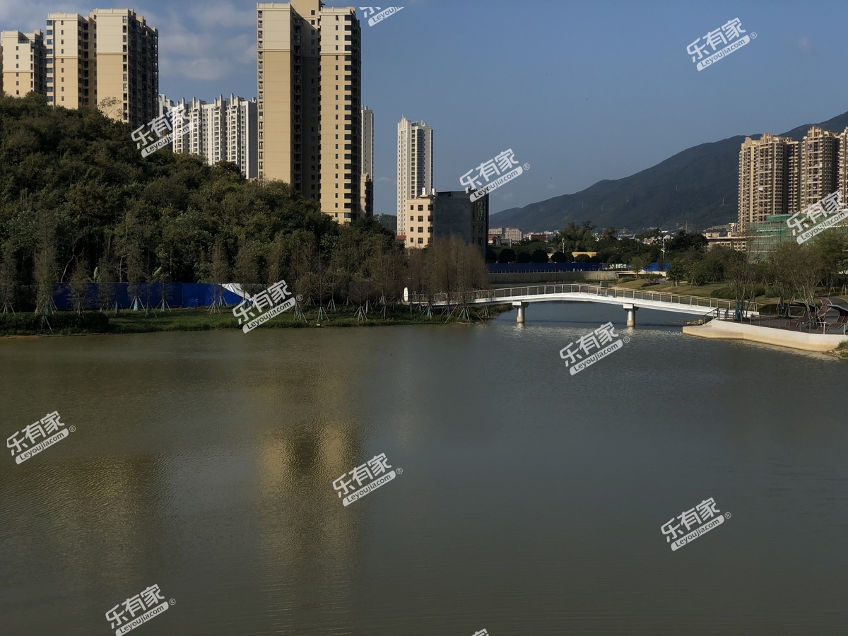 阳光城檀府实景图2