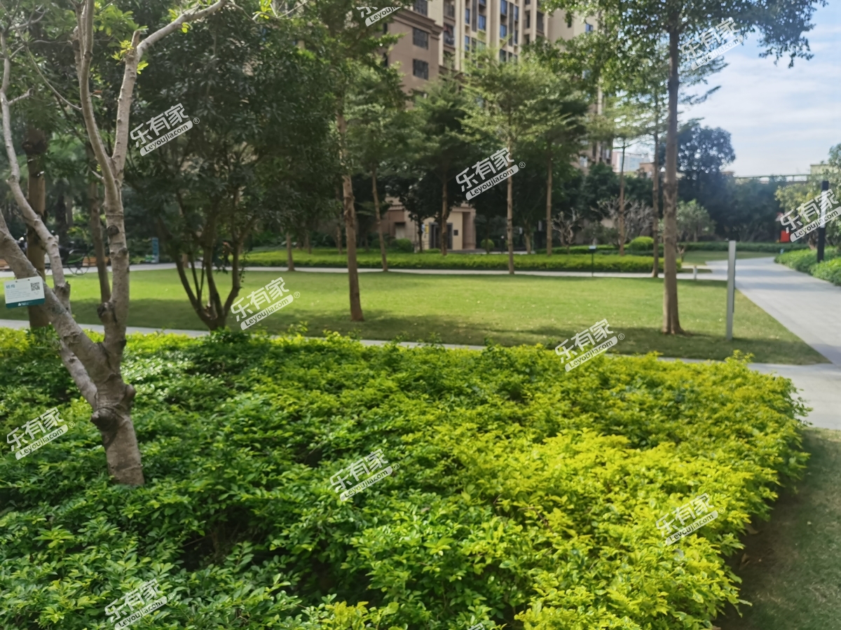 剑桥郡荣曜实景图