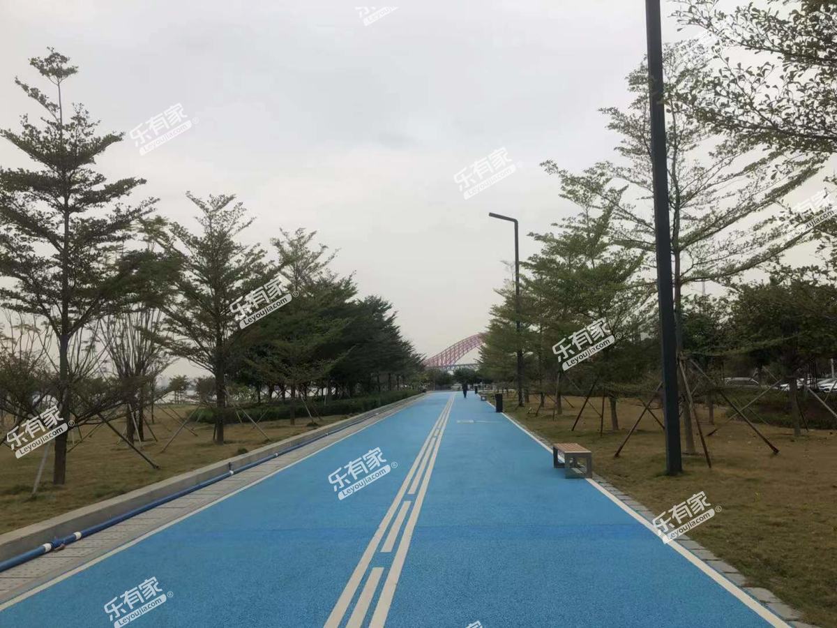 珠江海御实景图10