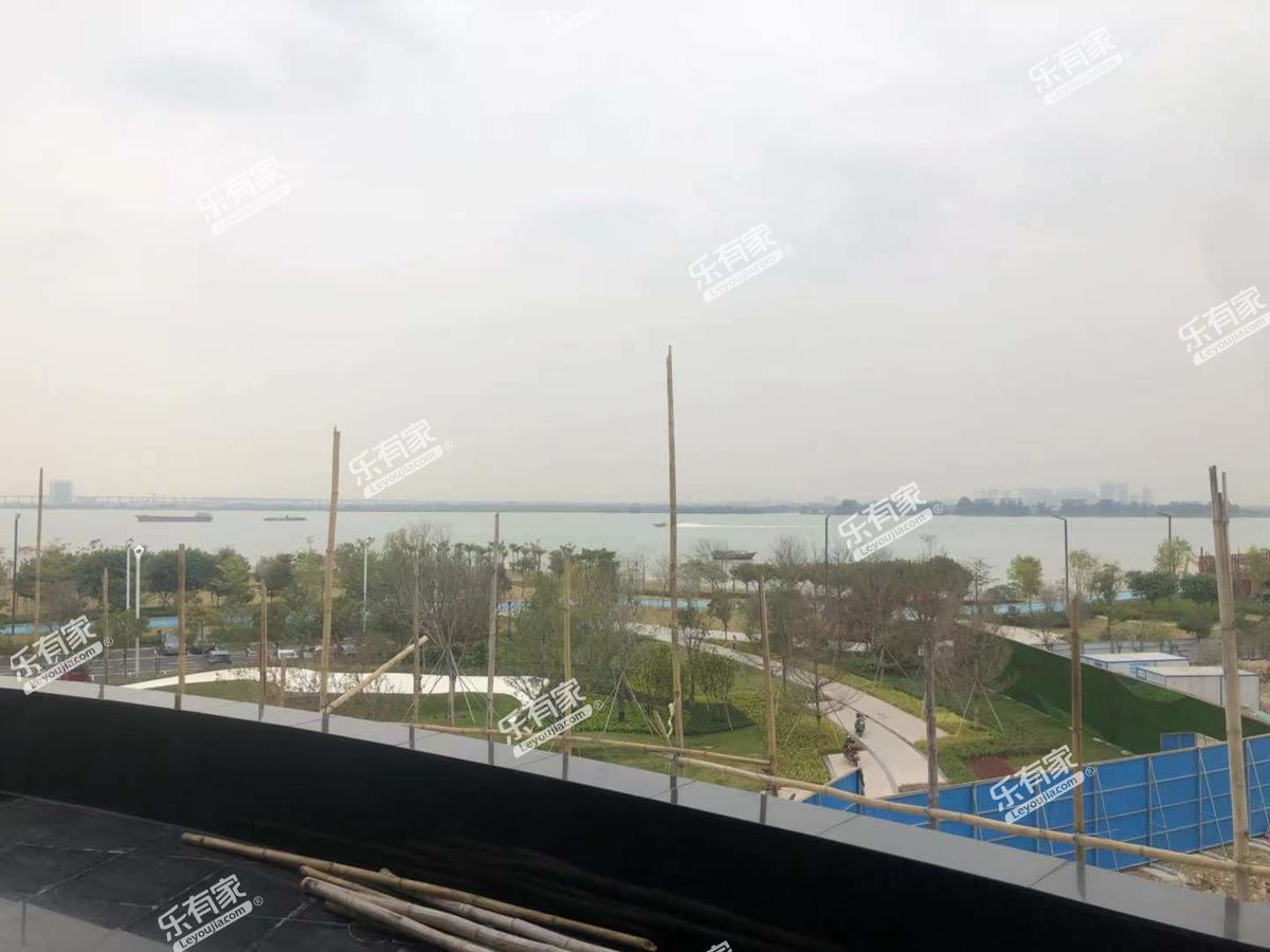 珠江海御实景图2