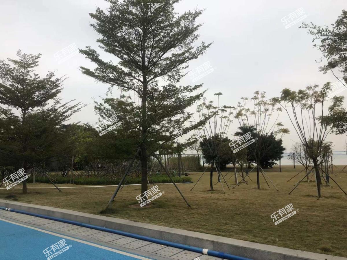 珠江海御实景图11