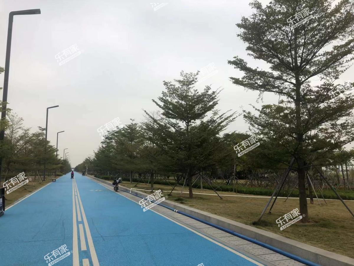 珠江海御实景图7