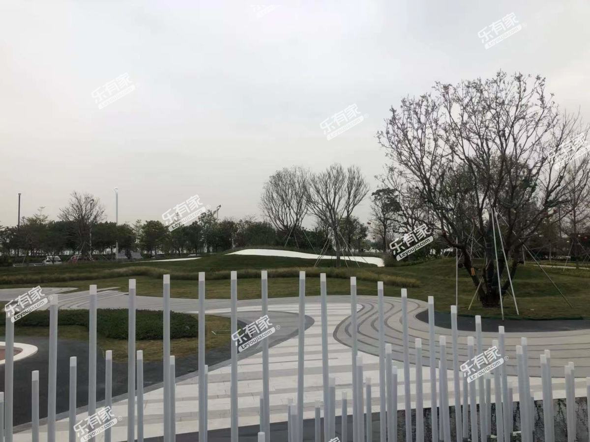珠江海御实景图6