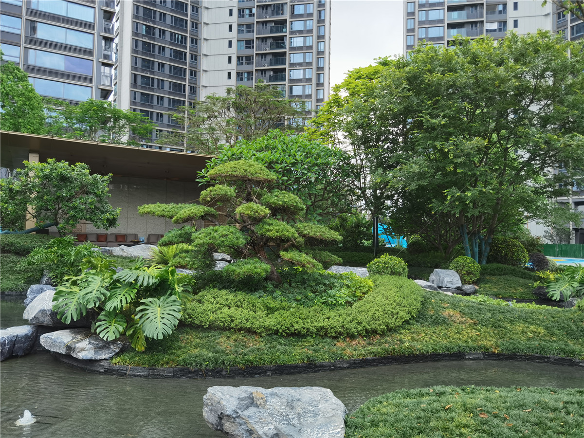 美泽花园二期实景图5