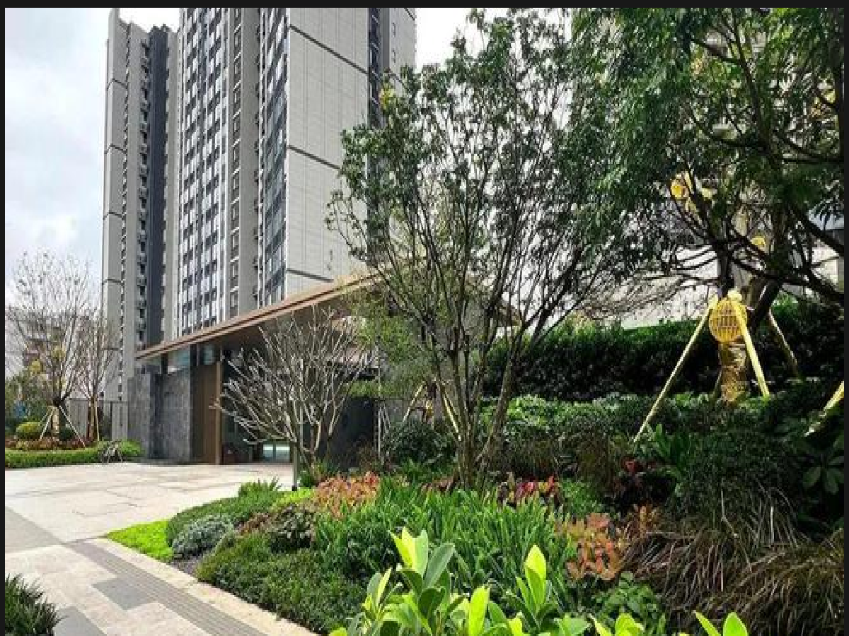 实景图1 2165109