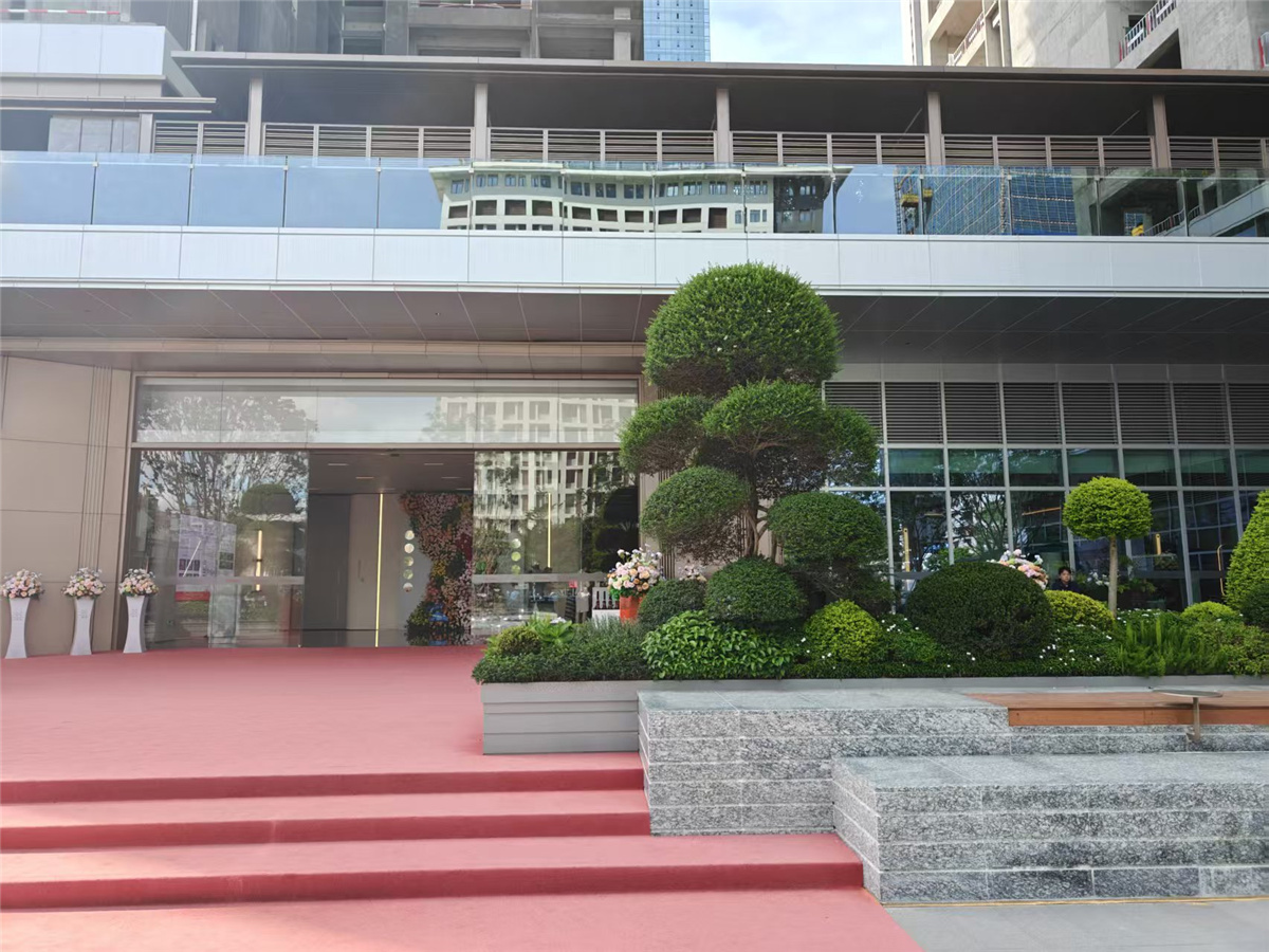 珺悦名都实景图2
