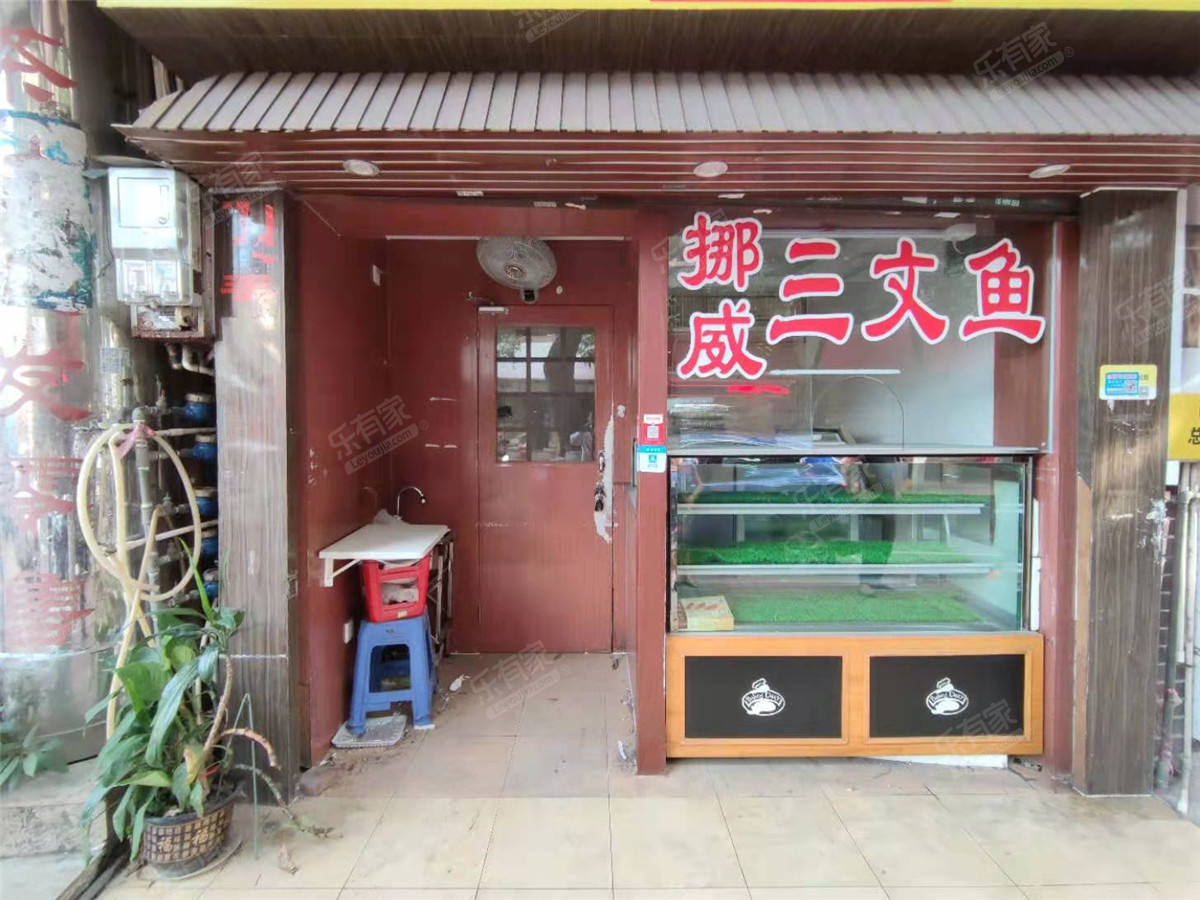 光明路居室-1
