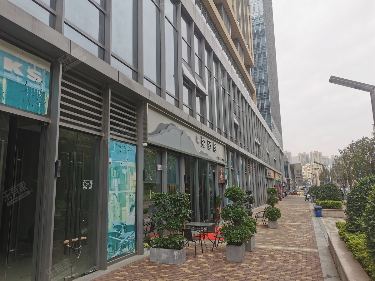 赛格新城市广场居室-1