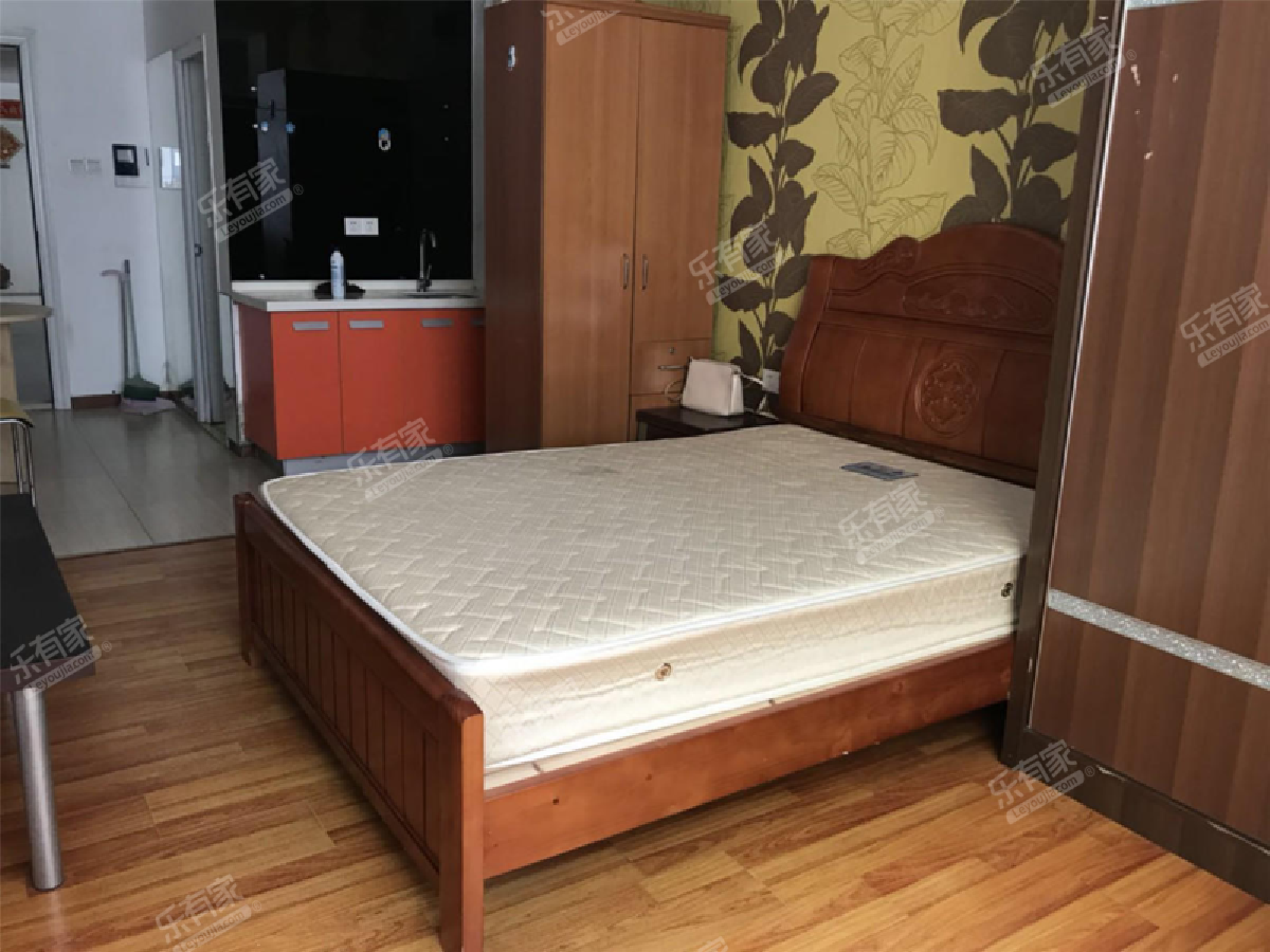 宏图9号公寓居室-1